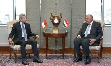 شكري يستقبل وزير خارجية سنغافورة لمناقشة مجمل العلاقات الثنائية