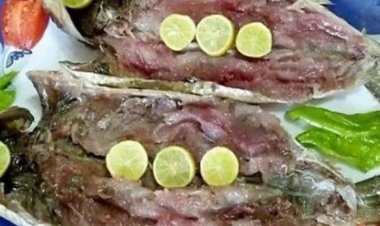 خاص… مديرة مركز السموم لـ العاصمة استقبال حالات تسمم منذ أمس بسبب «الفسيخ والرنجة»