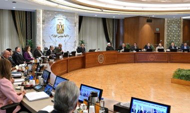 مجلس الوزراء: 10 آلاف جنيه لقنطار القطن متوسط التيلة..و12 ألف لطويل التيلة