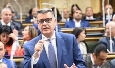 رئيس حقوق الإنسان بـ«النواب»: الرئيس السيسي حريص على دعم مصر للقضية الفلسطينية 