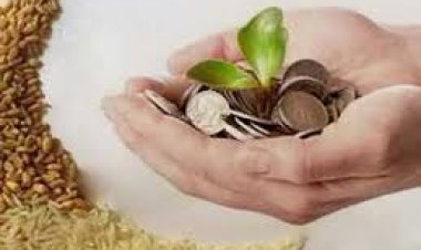 الأزهر يوضح من لا تجب عليهم زكاة الفطر