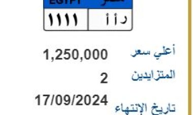 الأسعار تتجاوز مليون جنيه .. لوحات معدنية مميزة جديدة تدخل المنافسة