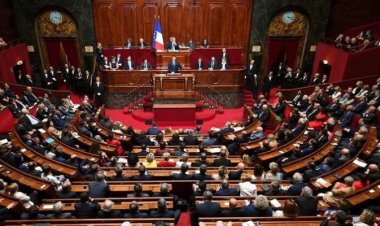 رفع علم فلسطين تضامنا مع سكان غزة.. إبعاد عضو بـ«البرلمان الفرنسي» لمدة 15 يوما