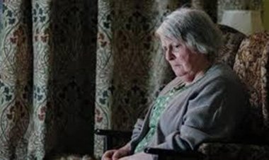 "اليعسوب" يحصد جائزة الهرم الذهبي في ختام مهرجان القاهرة السينمائي الـ46