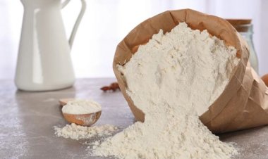 كم سعر طن الدقيق استخراج 72 % اليوم؟