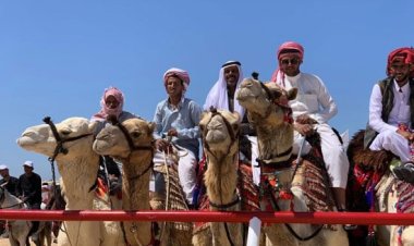 سباق الهجن في السعودية... إبل 7 دول تتنافس بأضخم مهرجان بالعالم