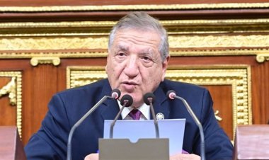 الدكتور فخري الفقي يستعرض تعديل أحكام قانون المالية العامة الموحد أمام النواب