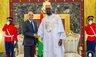 السفير المصري في كوناكري يقدم أوراق اعتماده لرئيس جمهورية غينيا