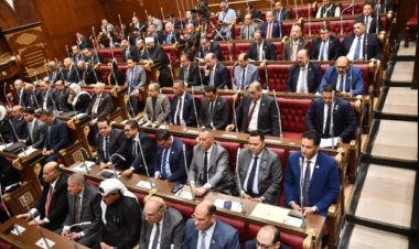 مجلس الشيوخ يستقبل نجوم الفن لمناقشة تفعيل «حق الأداء العلني» وحماية حقوق الفنانين