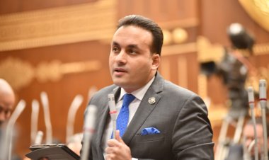 «برلماني» يتحدث عن أهمية زيارة الرئيس السيسي لـ«إريتريا» والمشاركة في القمة الثلاثية