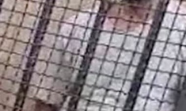 دفاع "المستشار المزيف": نطالب بعرضه على الطب الشرعي.. وادعى النجاح هرباً من التنمر
