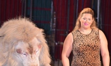 بعد إخلاء سبيل لوبا الحلو بكفالة 20 ألف جنيه.. تفاصيل جديدة في واقعة هجوم شبل بالسيرك القومي