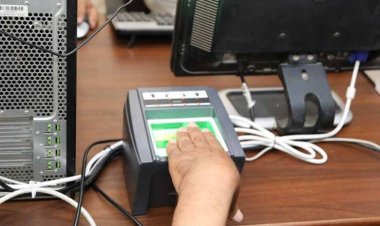 سعر الفيش والتشبيه 2024