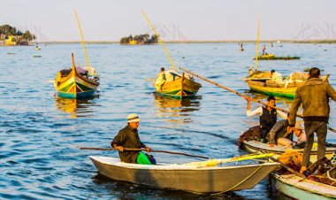 «بيكهربوا السمك».. سقوط تشكيل عصابي تخصص في الصيد عن طريق الكهرباء