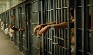 العمل للمنفعة العامة بدلاً من السجن لمدة 6 أشهر.. قانون جديد يقره النواب