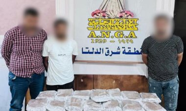 ضبط 3 عناصر إجرامية بحوزتهم كميات من مخدري الحشيش والشابو بالدقهلية 