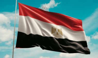 الجمارك: الإفراج عن بضائع بأكثر من 12 مليار دولار منذ يناير وحتى الآن