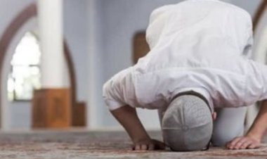الدكتور علي فخر أمين الفتوى يرد على سؤال حول حكم الصلاة دون وضوء