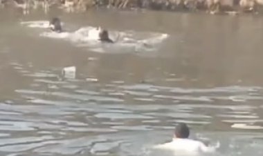 “وجود ضحايا”…سقوط سيارة ميكروباص في  ترعة المريوطية بمنطقة البدرشين