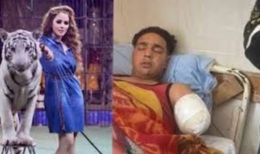 21 سبتمبر.. جلسة استئناف أنوسة كوته في قضية عامل سيرك طنطا