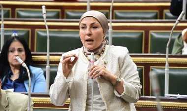 وكيل «مشروعات النواب»: قرار زيادة رسوم جواز السفر غير مُبرر في ظل الظروف الاقتصادية الحالية