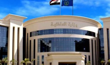 "طعن زوجته وفرد أمن".. حقيقة فيديو التعدي على شخص بمحكمة أسوان