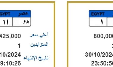 بمليون جنيه.. لوحات معدنية مميزة جديدة تدخل المنافسة