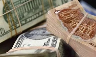 تحرك برلماني بشأن قصور دور السياحة في سد الفجوة الدولارية في مصر