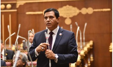 أمين عام حزب «حماة الوطن» يشيد باعتماد بيان الحكومة على مستهدفات رؤية مصر 2030