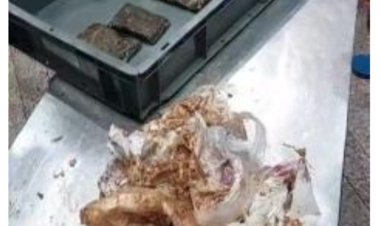 ضبط راكب بمطار الأقصر خلال محاولته تهريب مواد مخدرة