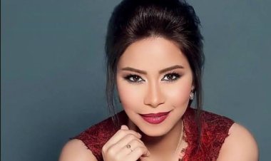 النيابة تحيل المتهم بالسيطرة على حسابات شيرين عبد الوهاب للمحاكمة