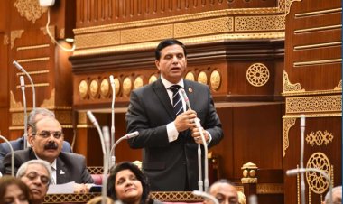 «برلماني» يطالب بضرورة الاستفادة من خبرات الطلاب الدارسين بالخارج