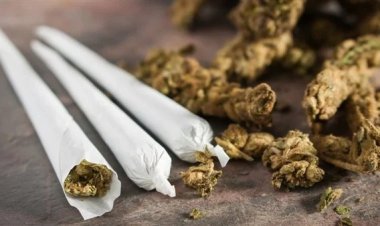 بدء تطبيق قانون تقنين القنب في ألمانيا بعد موافقة البرلمان