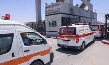 عاجل.. صحة غزة تعلن ارتفاع ضحايا العدوان الإسرائيلي لـ 34 ألفا و79 شهيدًا