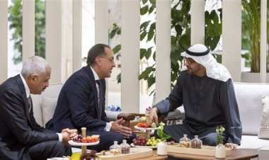 بحضور رجل الأعمال هشام طلعت مصطفى.. الشيخ محمد بن زايد يستقبل رئيس الوزراء