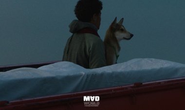 العرض العالمي الأول لفيلم أمانة البحر بمهرجان ساو باولو السينمائي الدولي