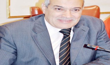 خاص| رئيس شعبة الدواجن لـ «العاصمة»: ارتفاع أسعار الدواجن يعود لعجز مخزون الأعلاف