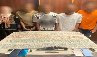 القبض على 11 متهمًا كونوا تشكيلات عصابية لسرقة المواطنيين والمدارس بالقاهرة