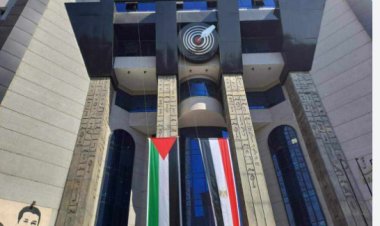 أول تعليق لـ«نقابة الصحفيين» بعد إخلاء سبيل صفاء الكوربيجي ومنال عجرمة وهالة فهمي