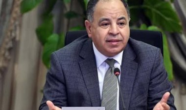 وزير المالية يبحث التعاون مع شركة «هندوجا الهندية» لتوطين صناعة السيارات الكهربائية