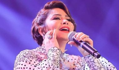 محامي «شيرين»: لا صحة لوجود أدلة جديدة في قضية النجمة مع المنتج محمد الشاعر