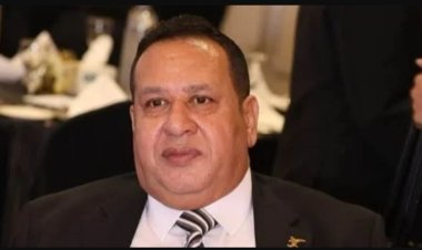 أول رد من شركة فالكون بعد التحفظ على أموال صبري نخنوخ.. ماذا قالت؟