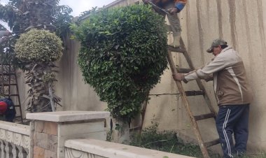 استمرار أعمال رفع كفاءة الشوارع والميادين بنطاق مراكز ومدن محافظة الدقهلية