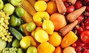 العين والتغذية.. دور الأطعمة الصحية في الحفاظ على الرؤية الجيدة