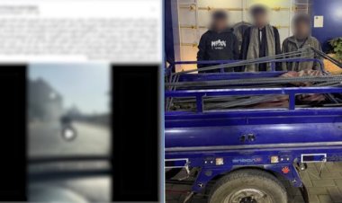 شجاعة مواطن تقود للقبض على لصوص سرقوا حديد كوبري طرة بالقاهرة 