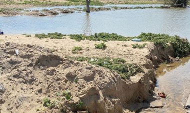 محافظ الدقهلية يكلف مدير عام الإنتاج والاستثمار بمراجعة الأعمال الجارية في المنطقة الصناعية بجمصة