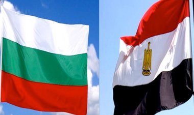 مصر وبلغاريا تؤكدان مواصلة تعزيز حوارهما السياسي