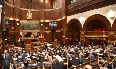 بعد مناقشات استمرت ليومين.. مجلس الشيوخ يوافق نهائيًا على قانون الضمان الاجتماعي الموحد