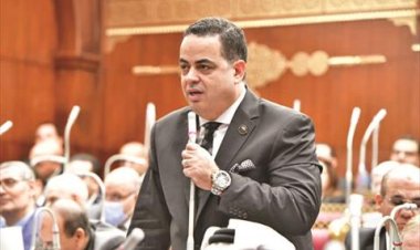 النائب عصام هلال: ثورة «30 يونيو» أنقذت الوطن من السقوط في «نفق مظلم»