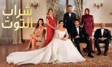 مسلسل شراب التوت الحلقة 60.. إليك ملخص الأحداث